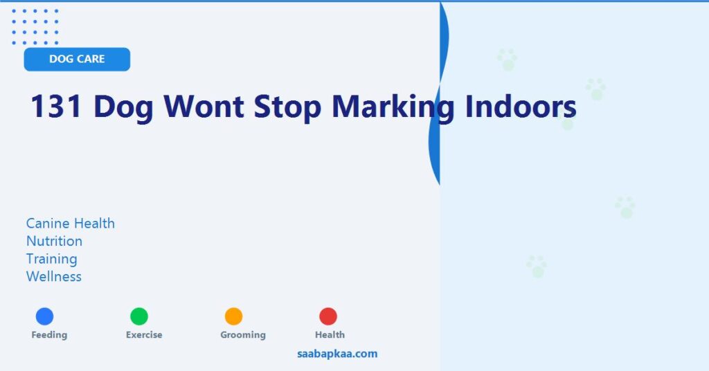 131 Dog Wont Stop Marking Indoors - saabapkaa.com