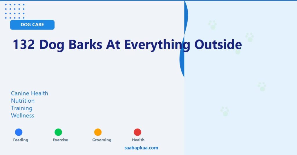 132 Dog Barks At Everything Outside - saabapkaa.com
