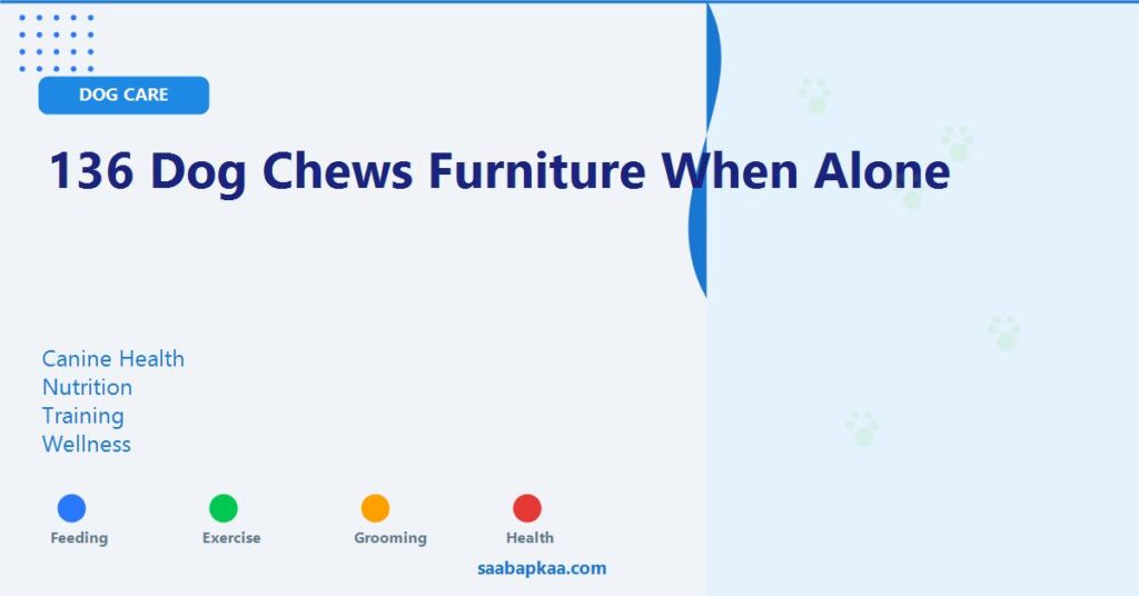 136 Dog Chews Furniture When Alone - saabapkaa.com