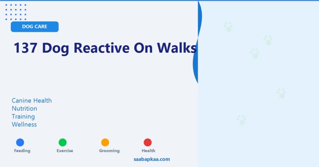 137 Dog Reactive On Walks - saabapkaa.com