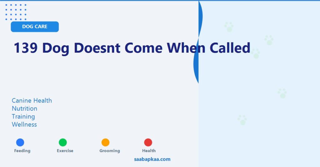 139 Dog Doesnt Come When Called - saabapkaa.com