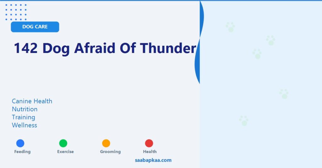 142 Dog Afraid Of Thunder - saabapkaa.com
