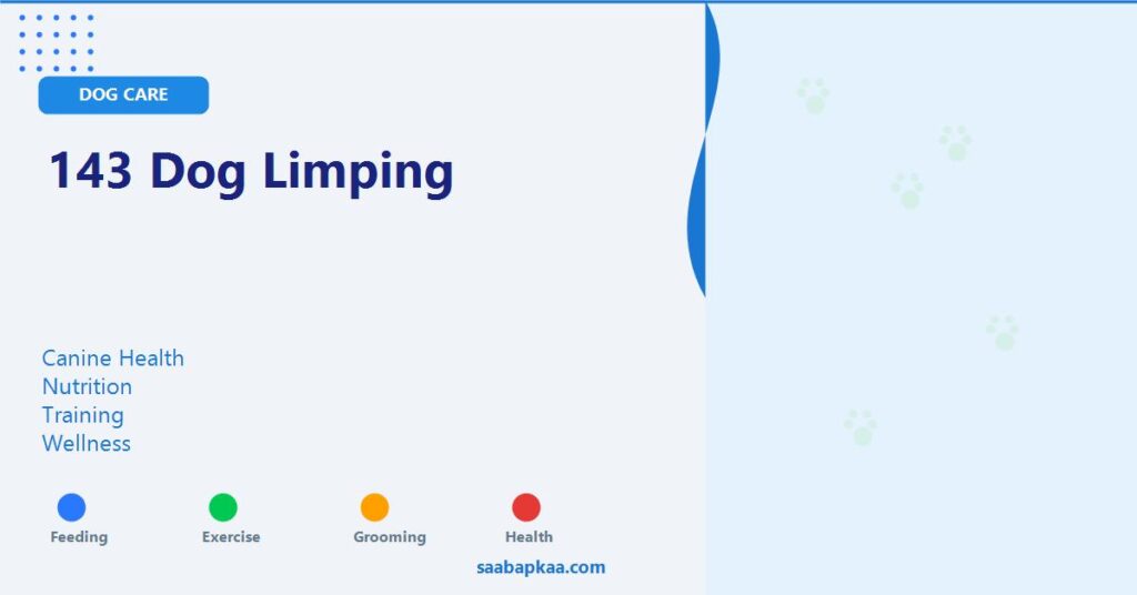 143 Dog Limping - saabapkaa.com