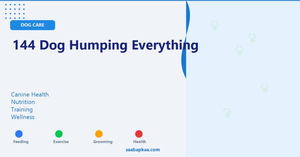 144 Dog Humping Everything - saabapkaa.com