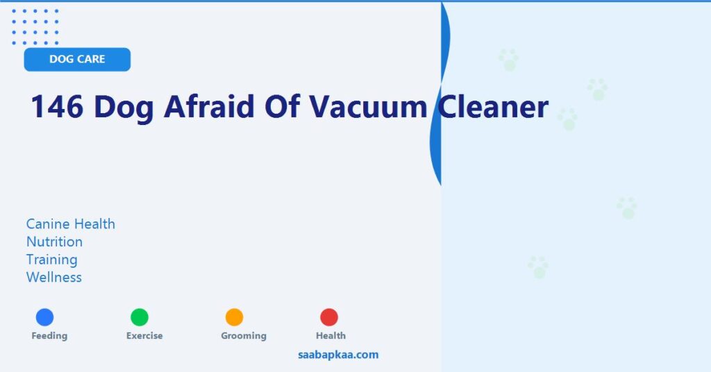 146 Dog Afraid Of Vacuum Cleaner - saabapkaa.com
