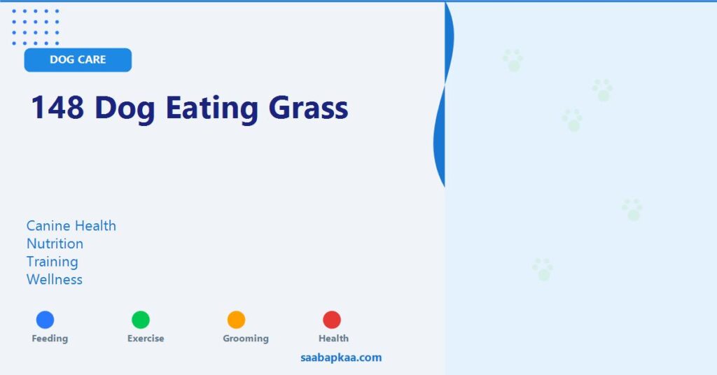 148 Dog Eating Grass - saabapkaa.com