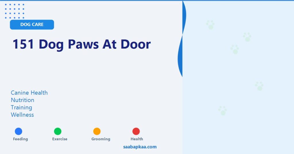 151 Dog Paws At Door - saabapkaa.com