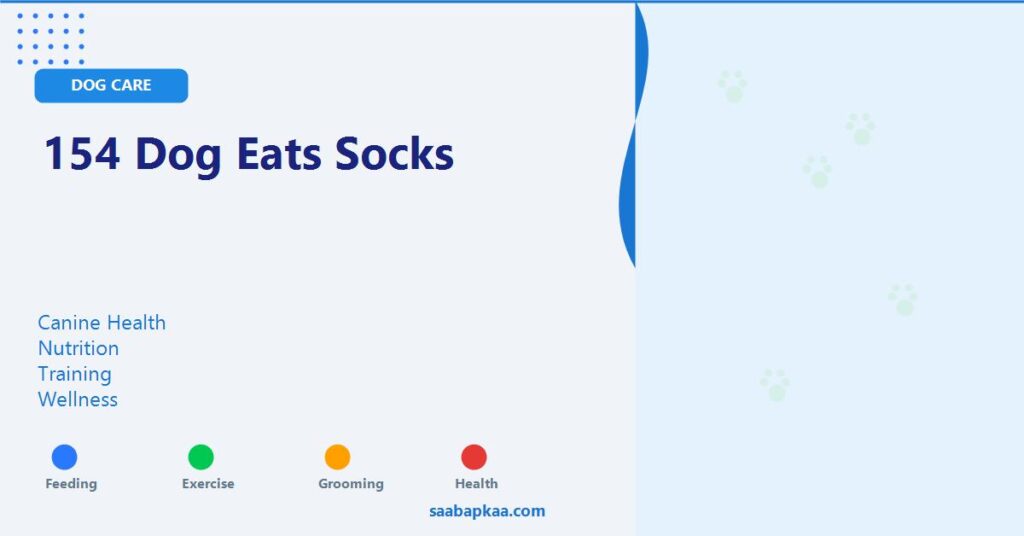 154 Dog Eats Socks - saabapkaa.com