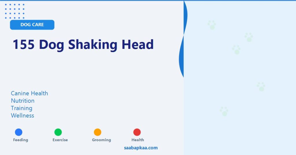 155 Dog Shaking Head - saabapkaa.com