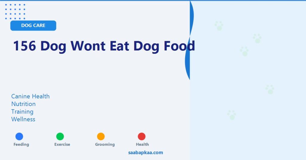 156 Dog Wont Eat Dog Food - saabapkaa.com