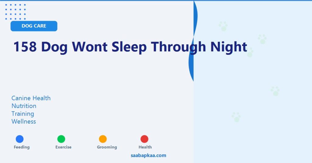 158 Dog Wont Sleep Through Night - saabapkaa.com