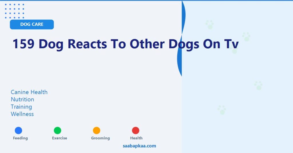 159 Dog Reacts To Other Dogs On Tv - saabapkaa.com