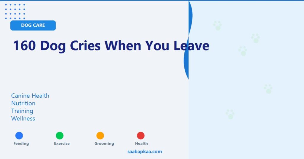 160 Dog Cries When You Leave - saabapkaa.com