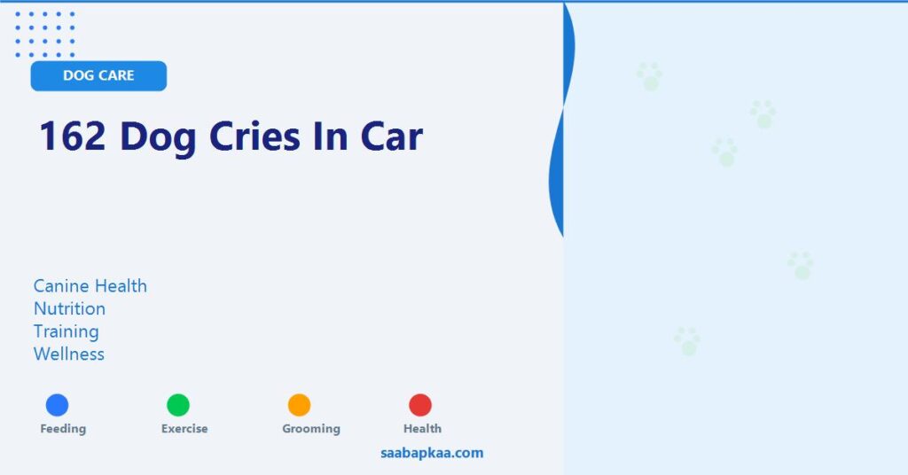 162 Dog Cries In Car - saabapkaa.com