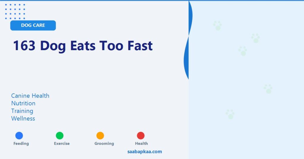 163 Dog Eats Too Fast - saabapkaa.com