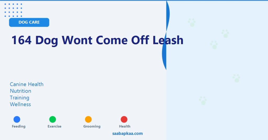 164 Dog Wont Come Off Leash - saabapkaa.com