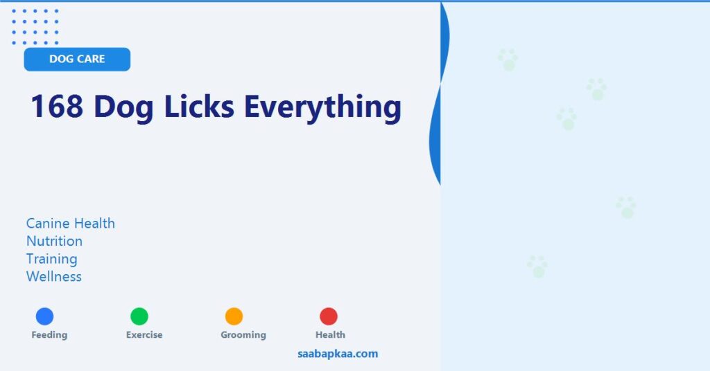 168 Dog Licks Everything - saabapkaa.com