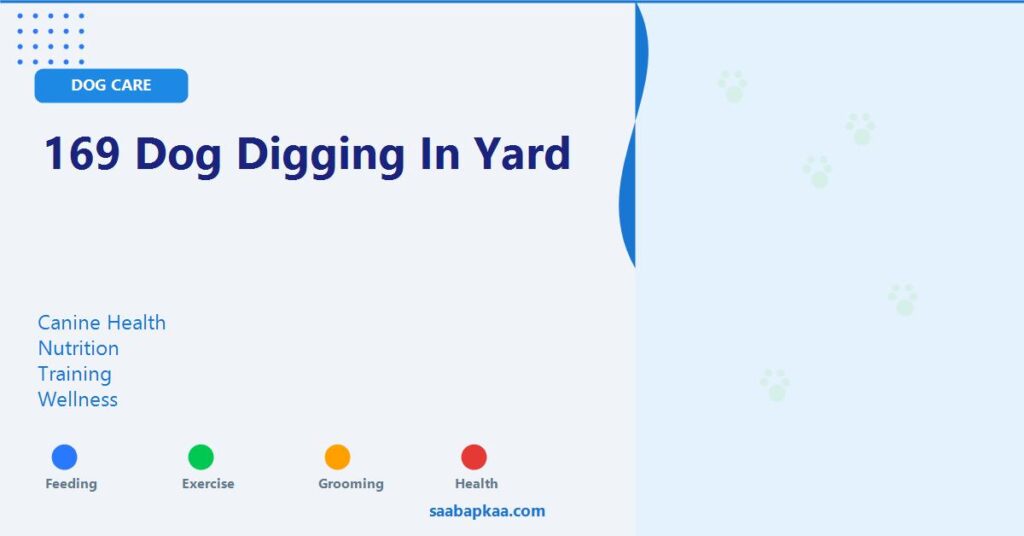 169 Dog Digging in Yard - saabapkaa.com