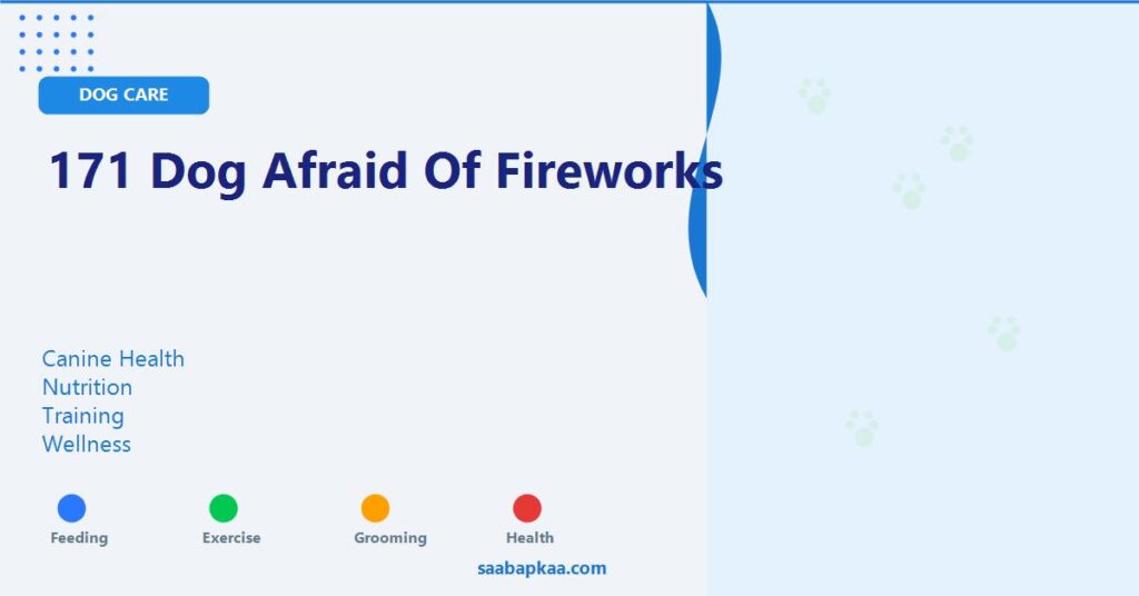 171 Dog Afraid of Fireworks - saabapkaa.com