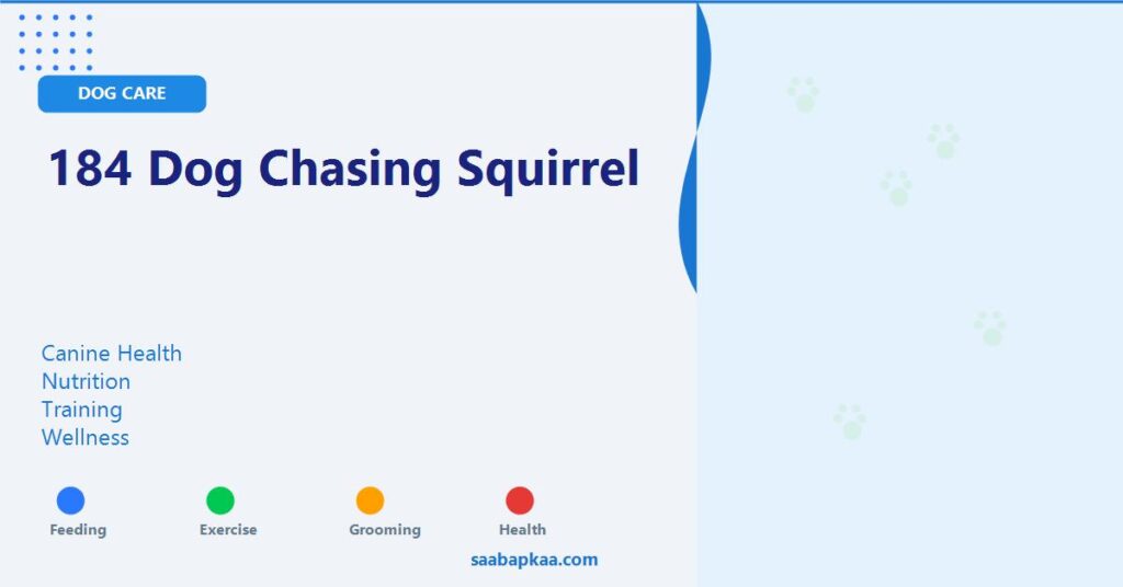 184 Dog Chasing Squirrel - saabapkaa.com