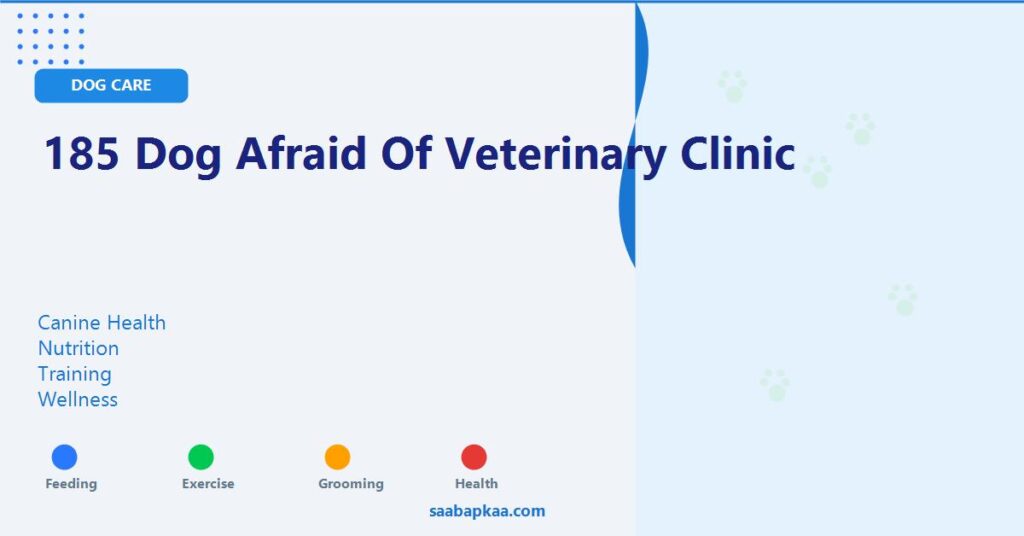 185 Dog Afraid of Veterinary Clinic - saabapkaa.com