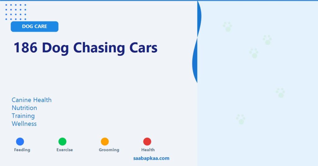 186 Dog Chasing Cars - saabapkaa.com