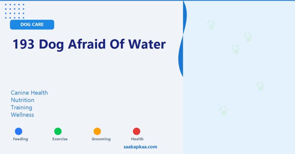 193 Dog Afraid of Water - saabapkaa.com