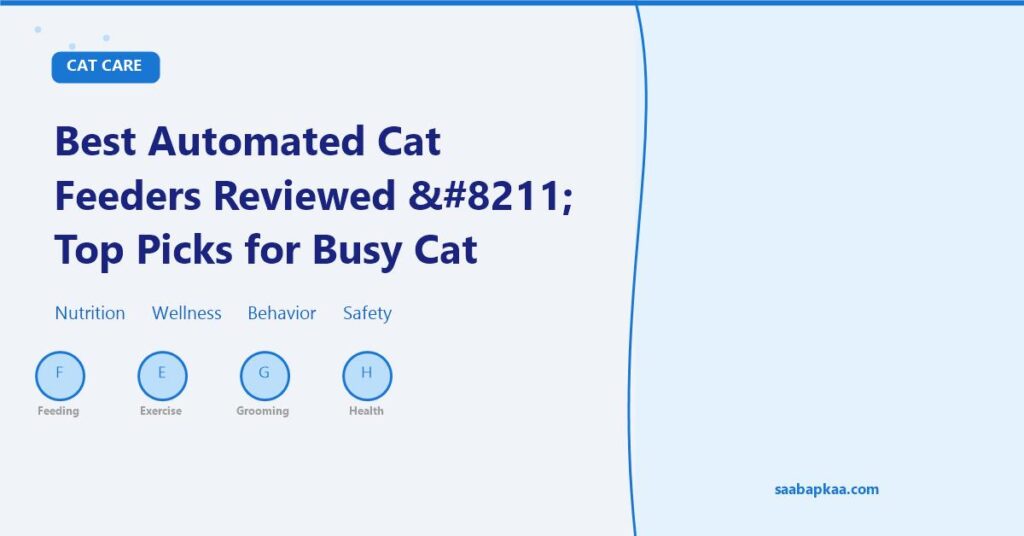 Best Automated Cat Feeders Reviewed – Top Picks for Busy Cat Owners in 2026 - saabapkaa.com