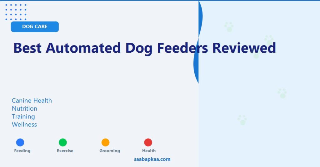 Best Automated Dog Feeders Reviewed - saabapkaa.com