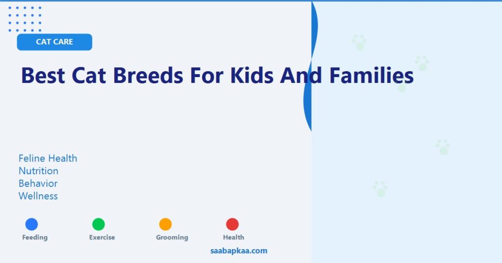 Best Cat Breeds for Kids and Families - saabapkaa.com