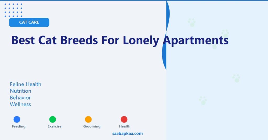 Best Cat Breeds for Lonely Apartments - saabapkaa.com
