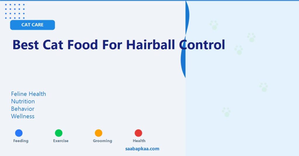 Best Cat Food for Hairball Control - saabapkaa.com