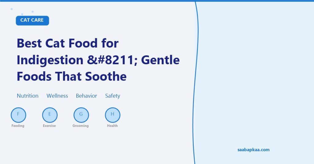 Best Cat Food for Indigestion – Gentle Foods That Soothe Sensitive Stomachs - saabapkaa.com