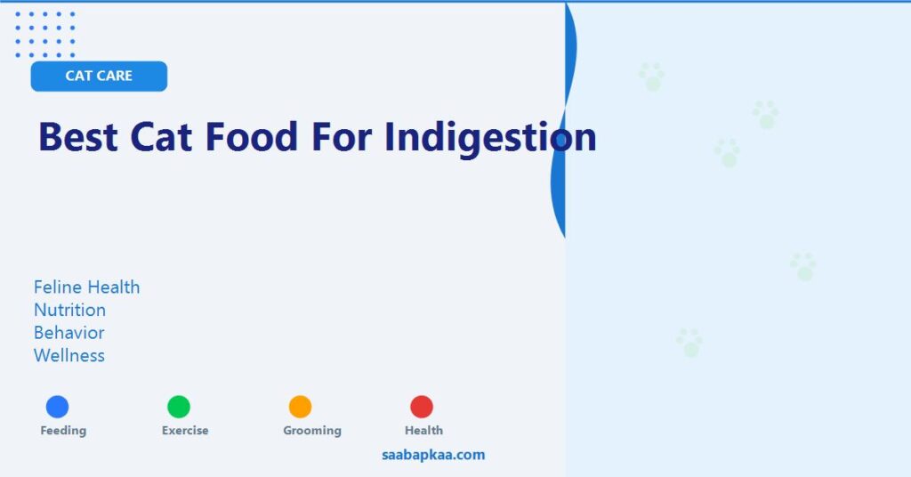 Best Cat Food For Indigestion - saabapkaa.com