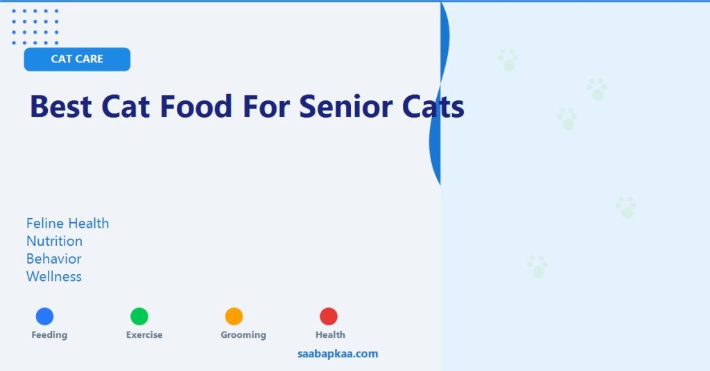 Best Cat Food for Senior Cats - saabapkaa.com