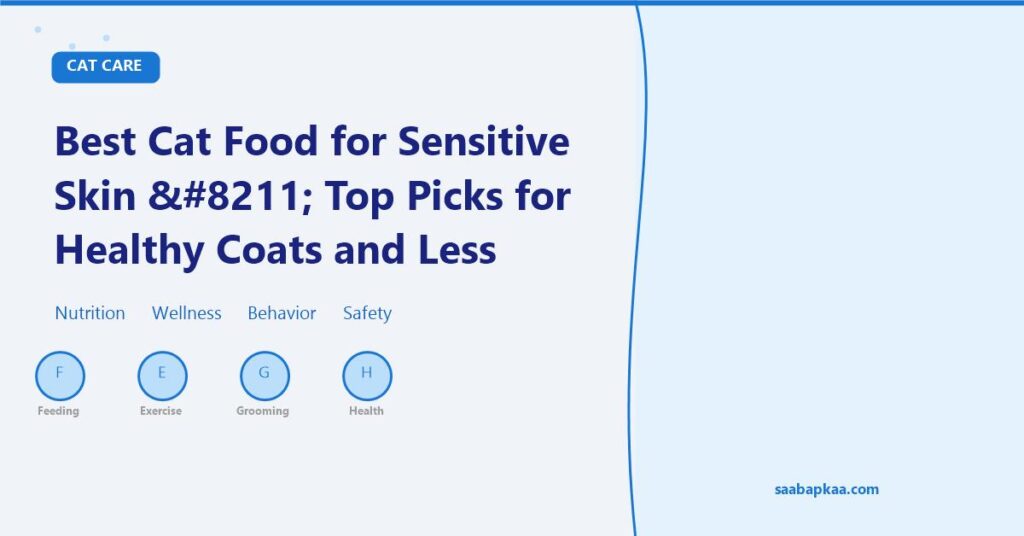 Best Cat Food for Sensitive Skin – Top Picks for Healthy Coats and Less Itching - saabapkaa.com