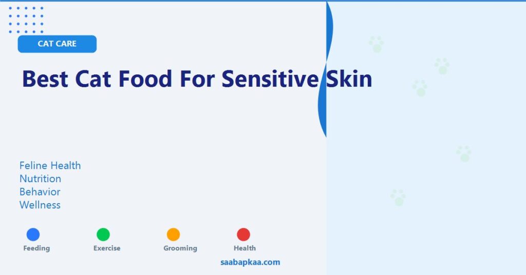 Best Cat Food For Sensitive Skin - saabapkaa.com