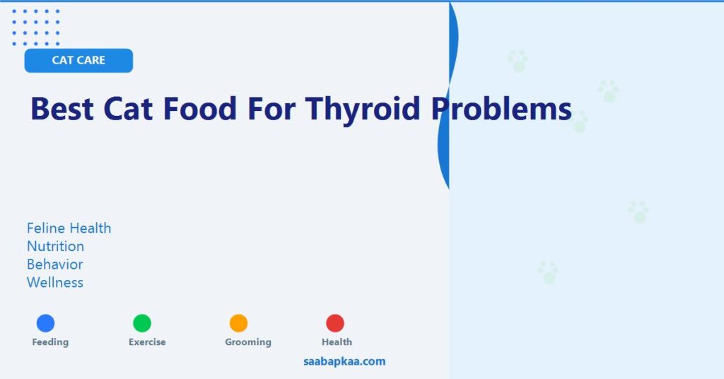 Best Cat Food for Thyroid Problems - saabapkaa.com