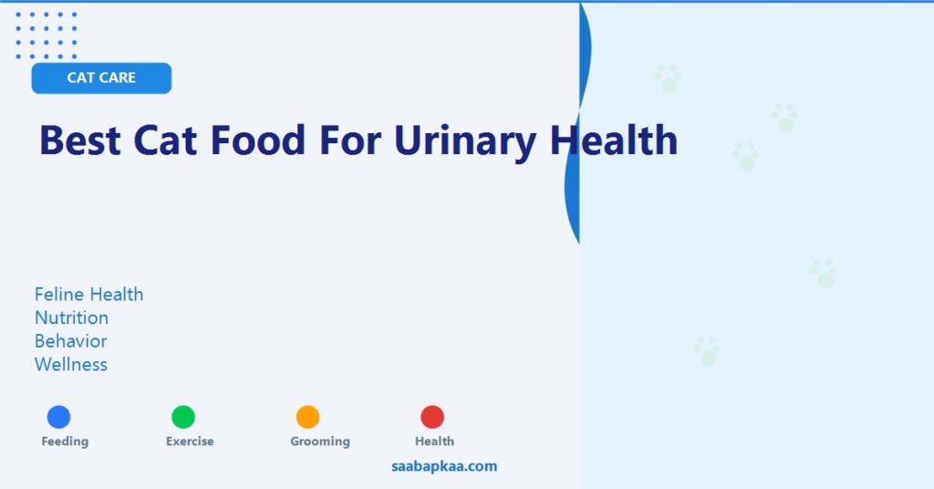 Best Cat Food for Urinary Health - saabapkaa.com