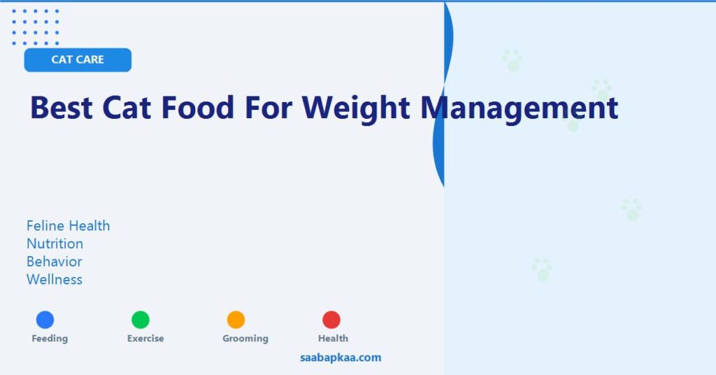 Best Cat Food for Weight Management - saabapkaa.com