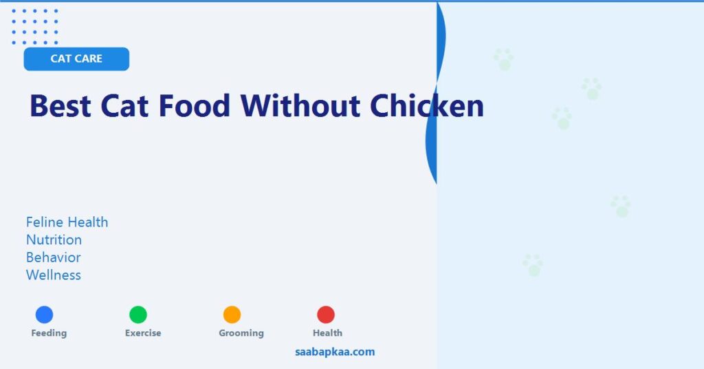 Best Cat Food Without Chicken - saabapkaa.com