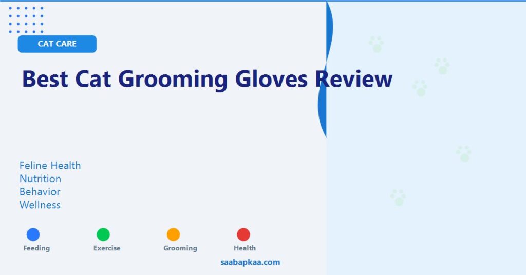 Best Cat Grooming Gloves Review - saabapkaa.com