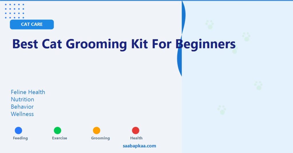Best Cat Grooming Kit For Beginners - saabapkaa.com