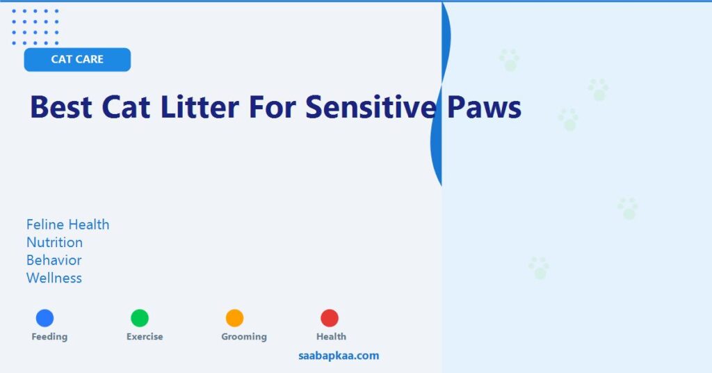 Best Cat Litter for Sensitive Paws - saabapkaa.com