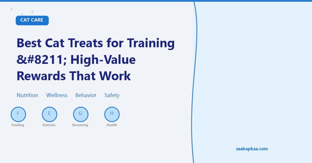 Best Cat Treats for Training – High-Value Rewards That Work - saabapkaa.com