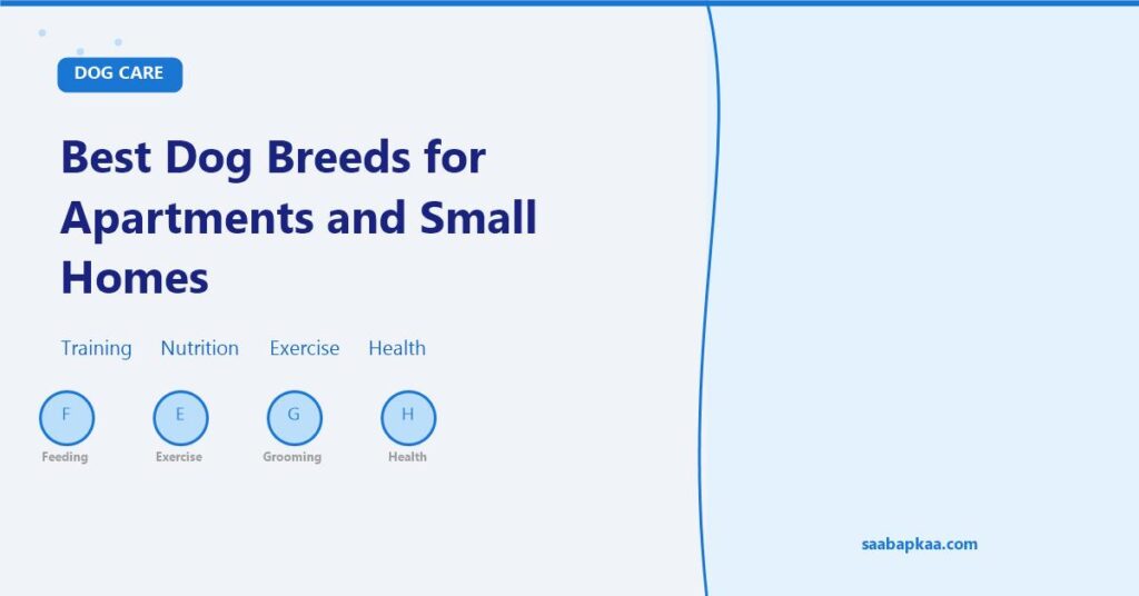 Best Dog Breeds for Apartments and Small Homes - saabapkaa.com