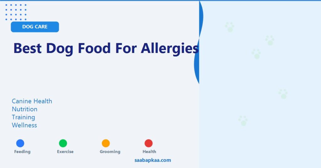 Best Dog Food for Allergies - saabapkaa.com