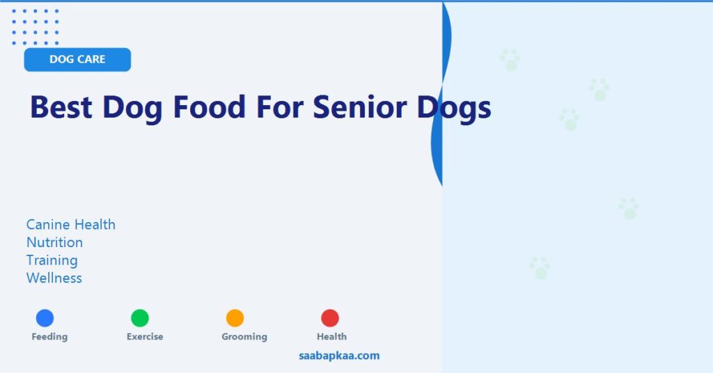Best Dog Food for Senior Dogs - saabapkaa.com