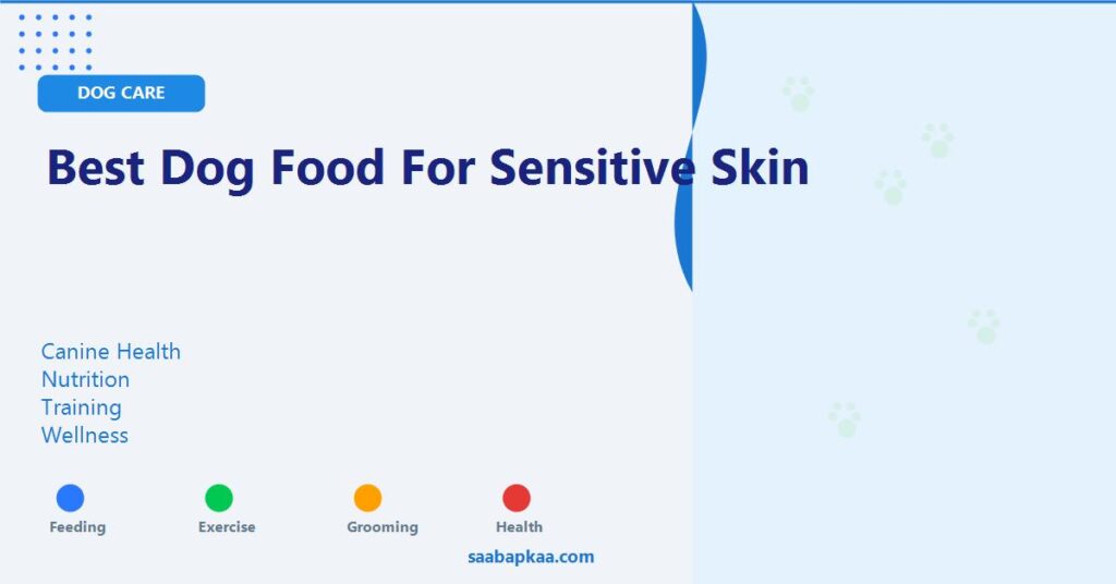 Best Dog Food for Sensitive Skin - saabapkaa.com