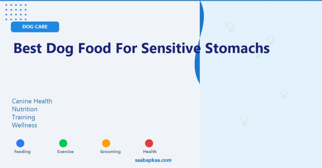 Best Dog Food for Sensitive Stomachs - saabapkaa.com